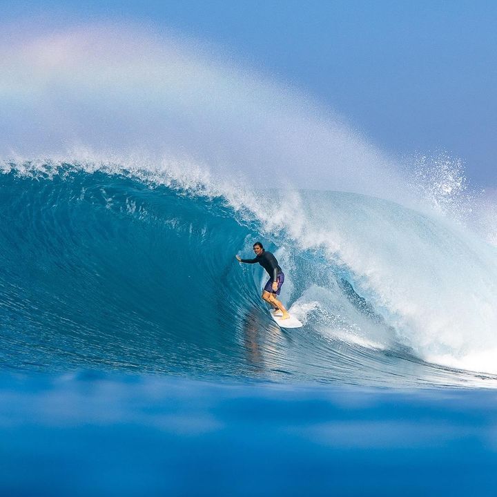 1 hour videographer in Hollow Trees area